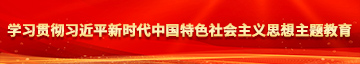 女生骚逼视频真的SB学习贯彻习近平新时代中国特色社会主义思想主题教育